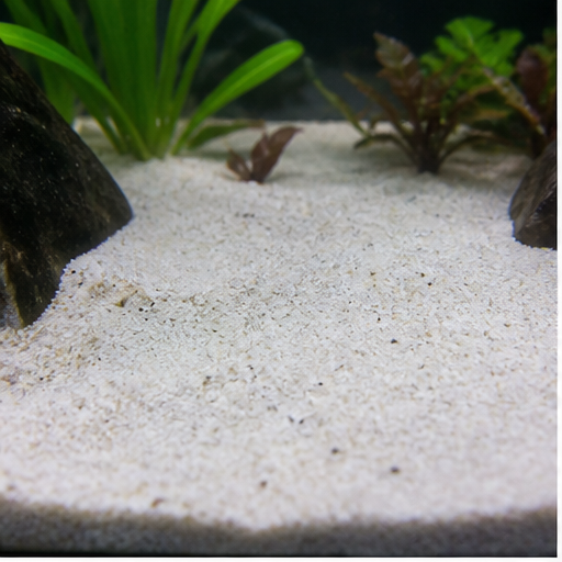 Υπόστρωμα ενυδρείου clair dans un aquarium