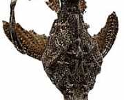 Bunocephalus kneri Ψάρι banjo