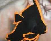 Platax pinnatus Κόκκινο chauve-sourris